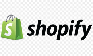 Full-service e-commerce digital marketing – SEO, Ads, CRO